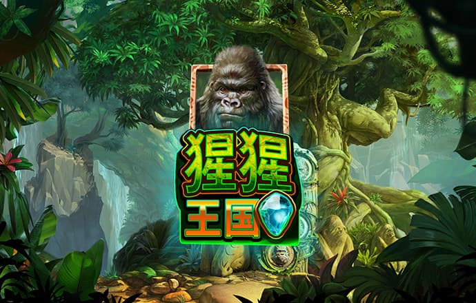 zbo智博体育